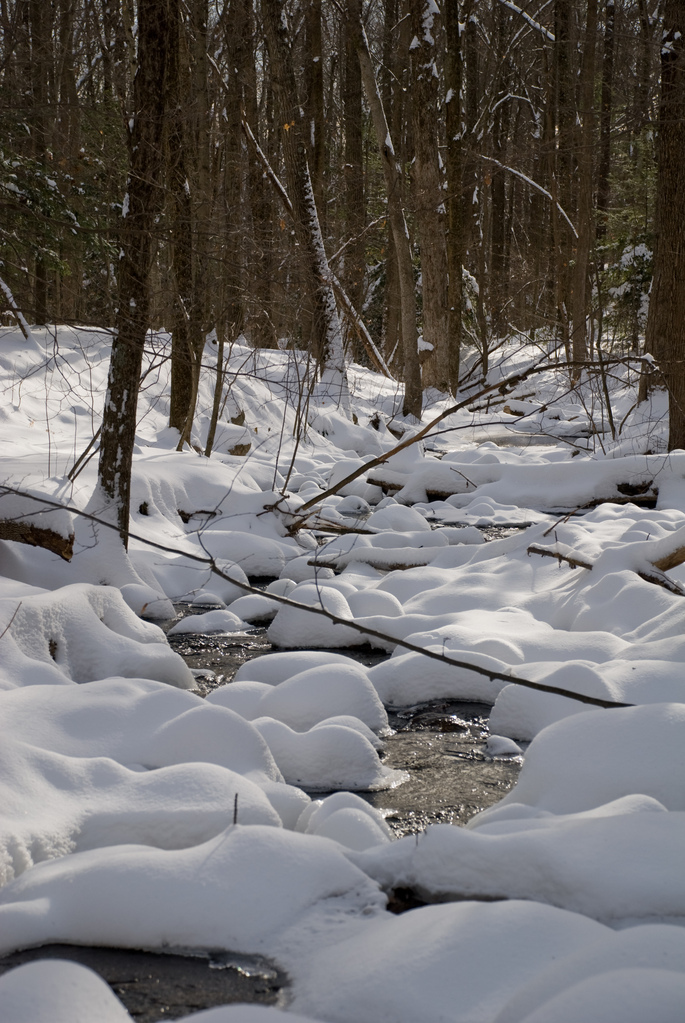 Winter stream Winter stream