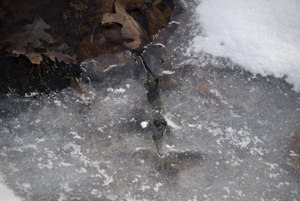 Icy stream Icy stream