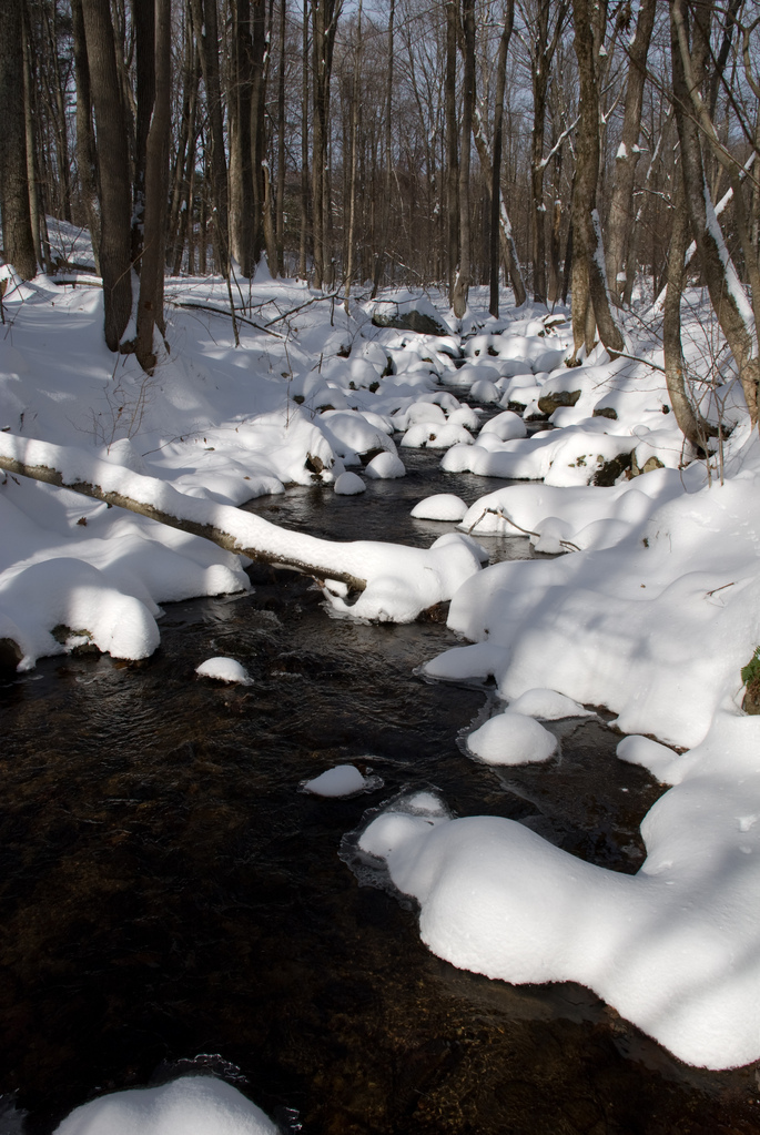 Winter stream Winter stream