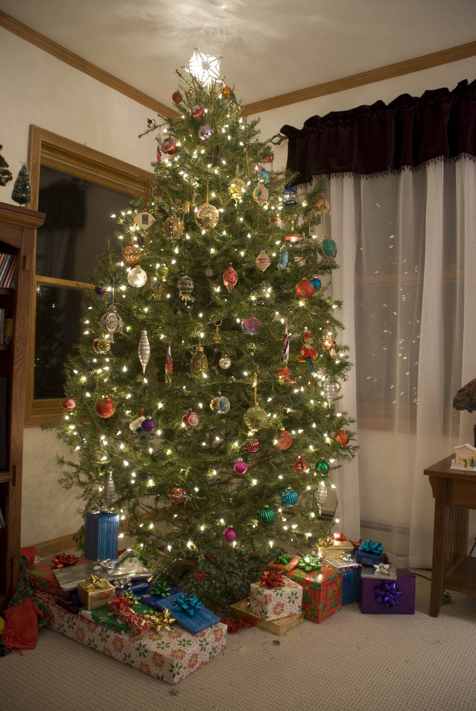 Christmas Tree 2007 Christmas Tree 2007