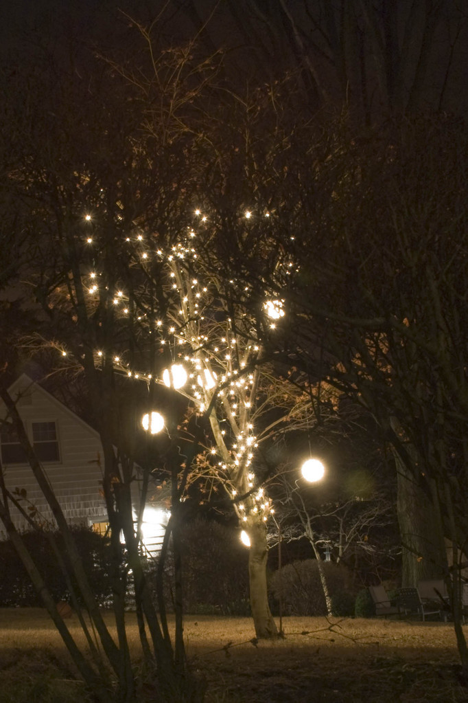 Orbs