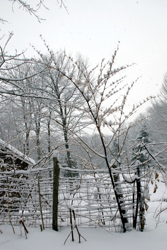 Snowy fence Snowy fence