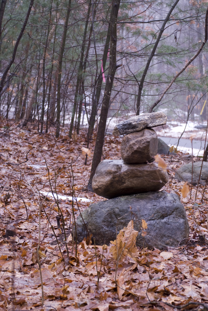 Rocks Rocks
