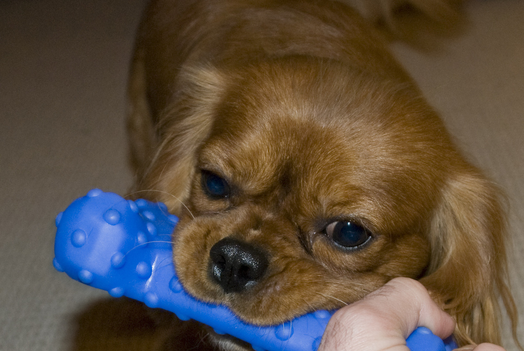 Mine. Gimme.