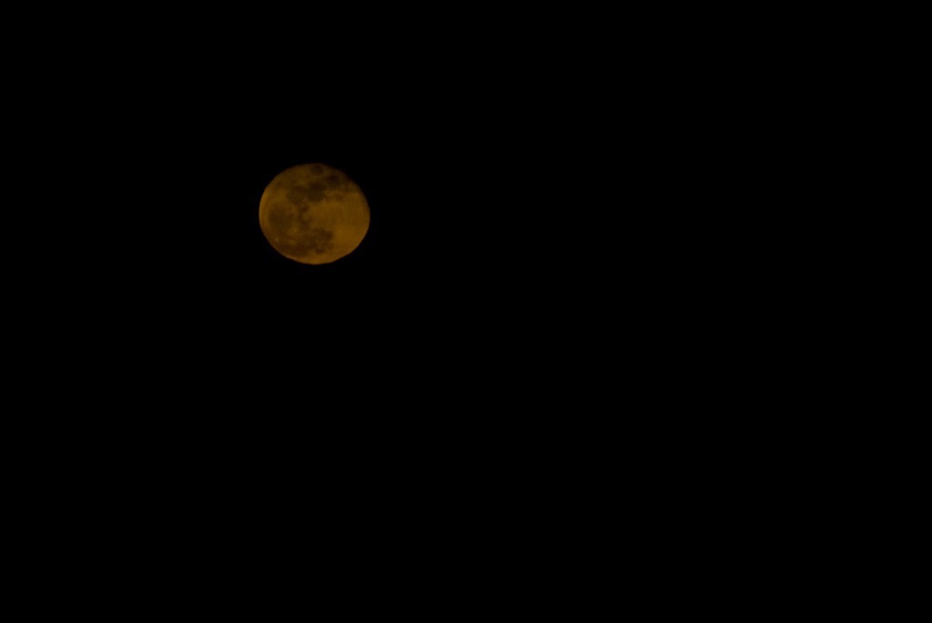 Evening moon Evening moon