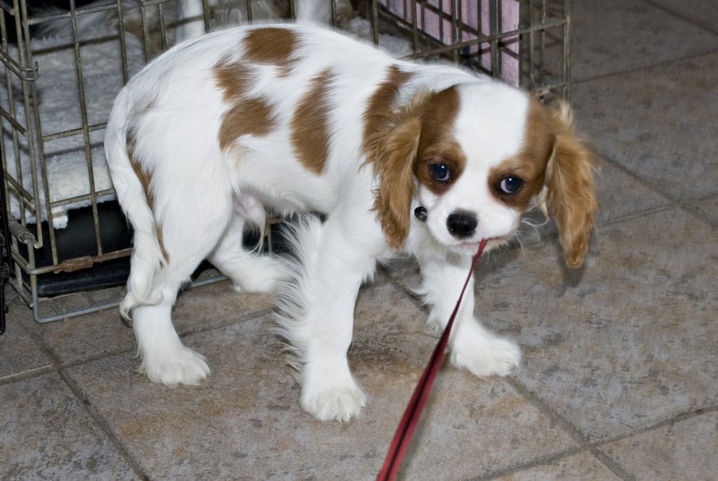 Gimme!