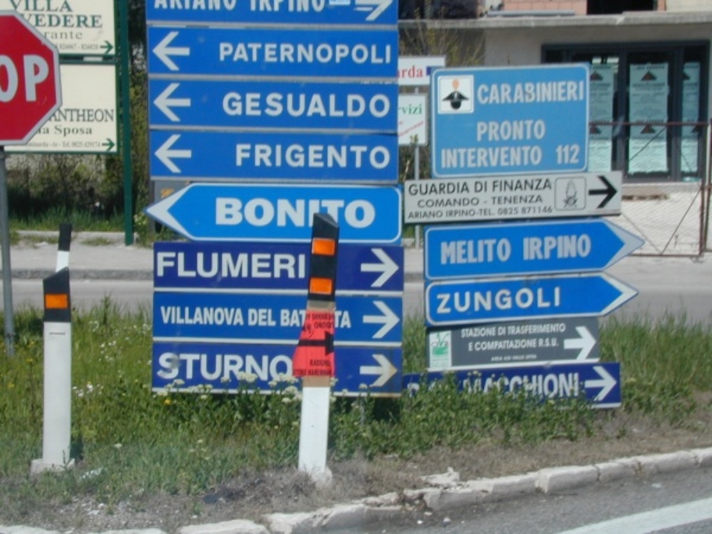 Zungoli: That Way!