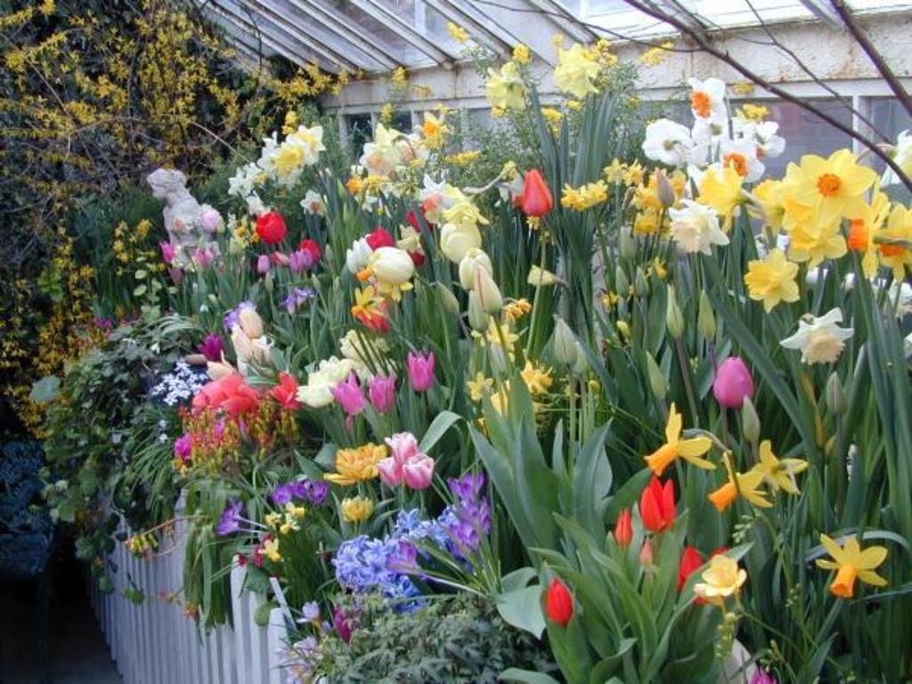 Smith College Bulb Show