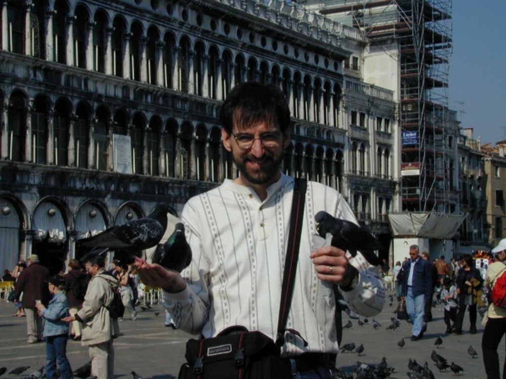 Pigeons in St Mark's Square