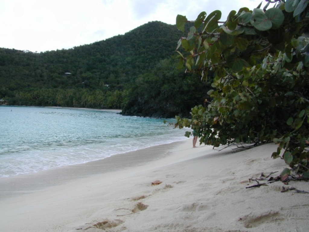 Hawksnest Bay