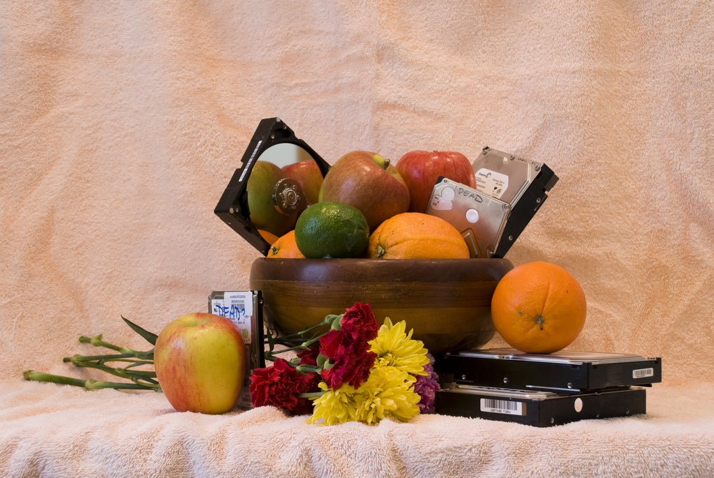 Still life with winter fruit and dead hard drives