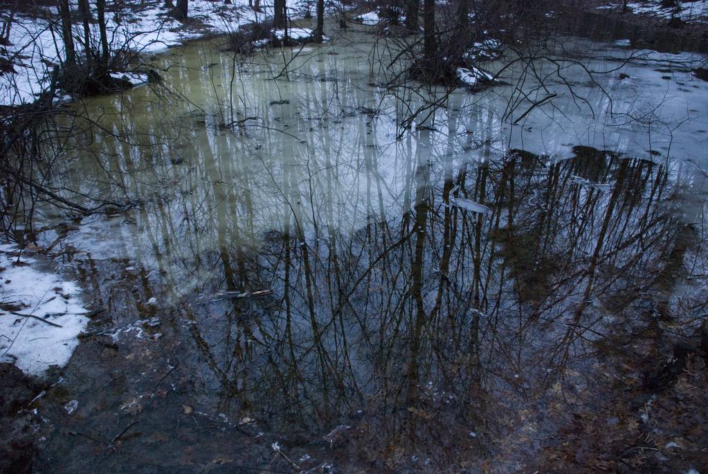 Vernal pool