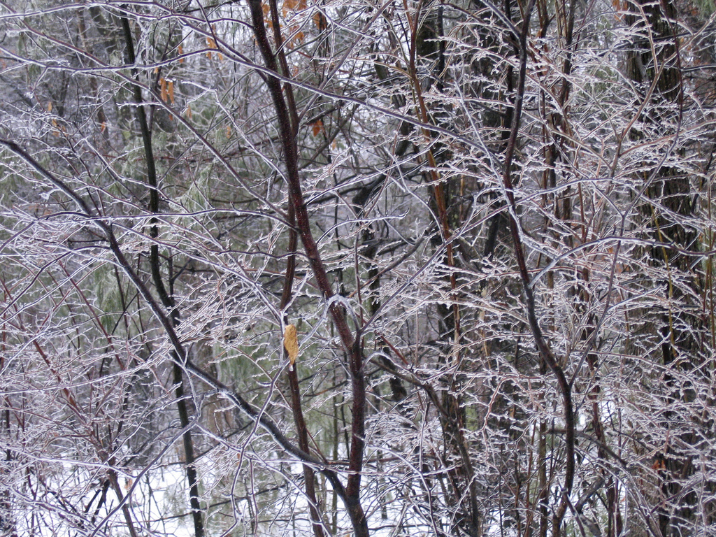 Sleet and freezing rain Sleet and freezing rain
