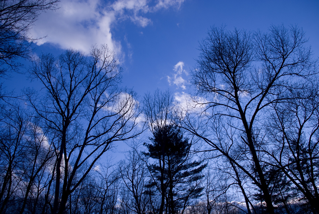 Winter blues