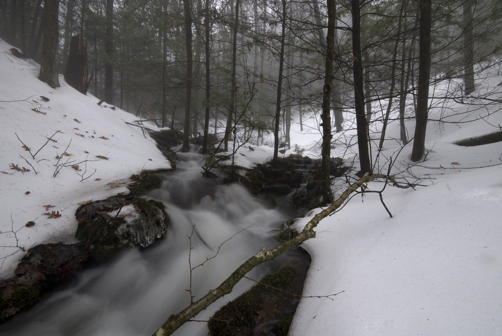 Stream III Stream III