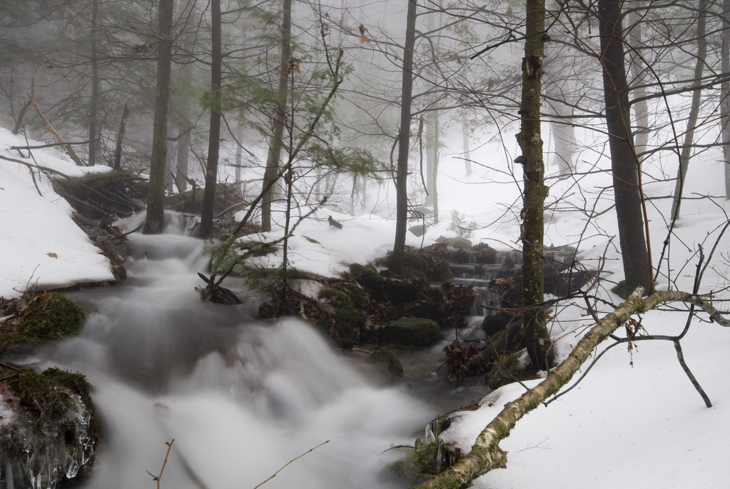 Stream IV Stream IV
