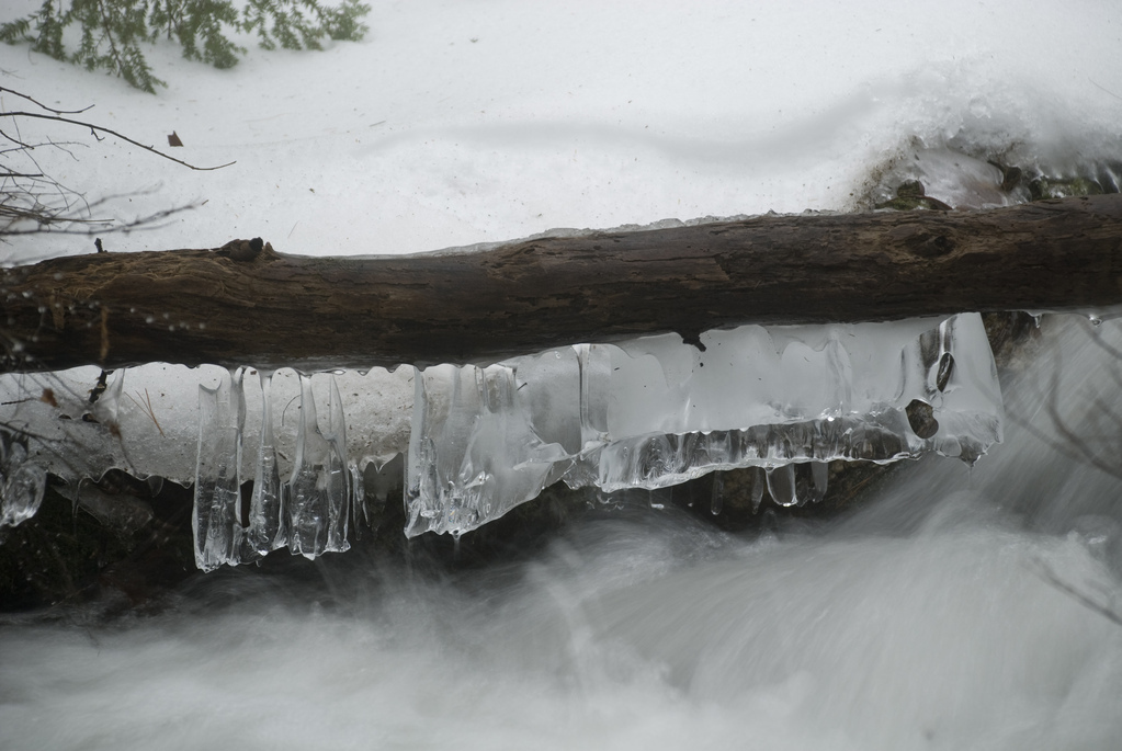 Ice Ice