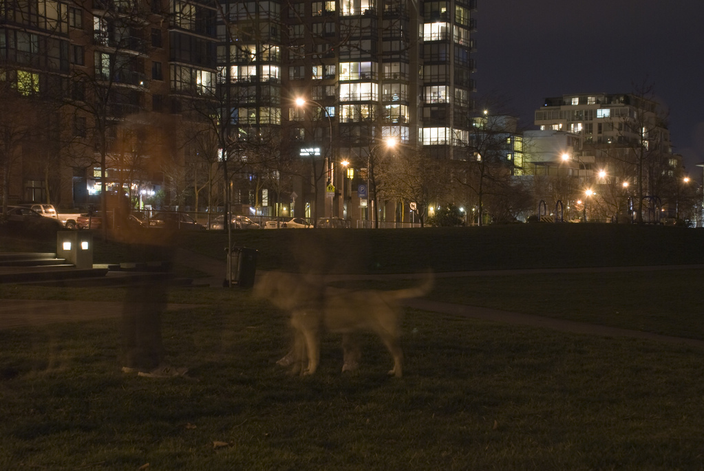 Dog walking