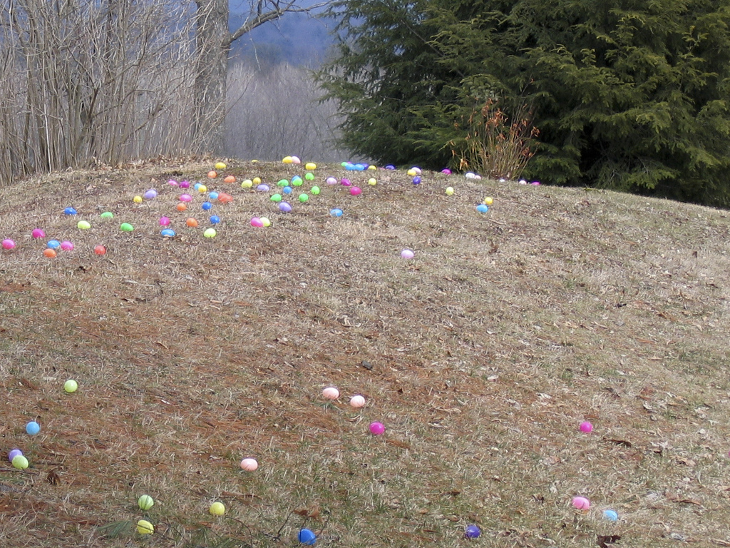 Eggs Eggs