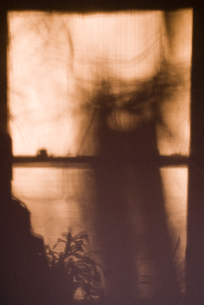 Shadow plants Shadow plants