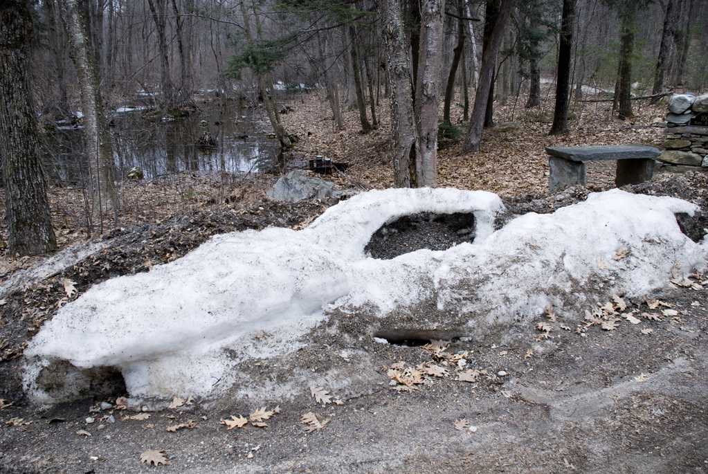 Death of winter