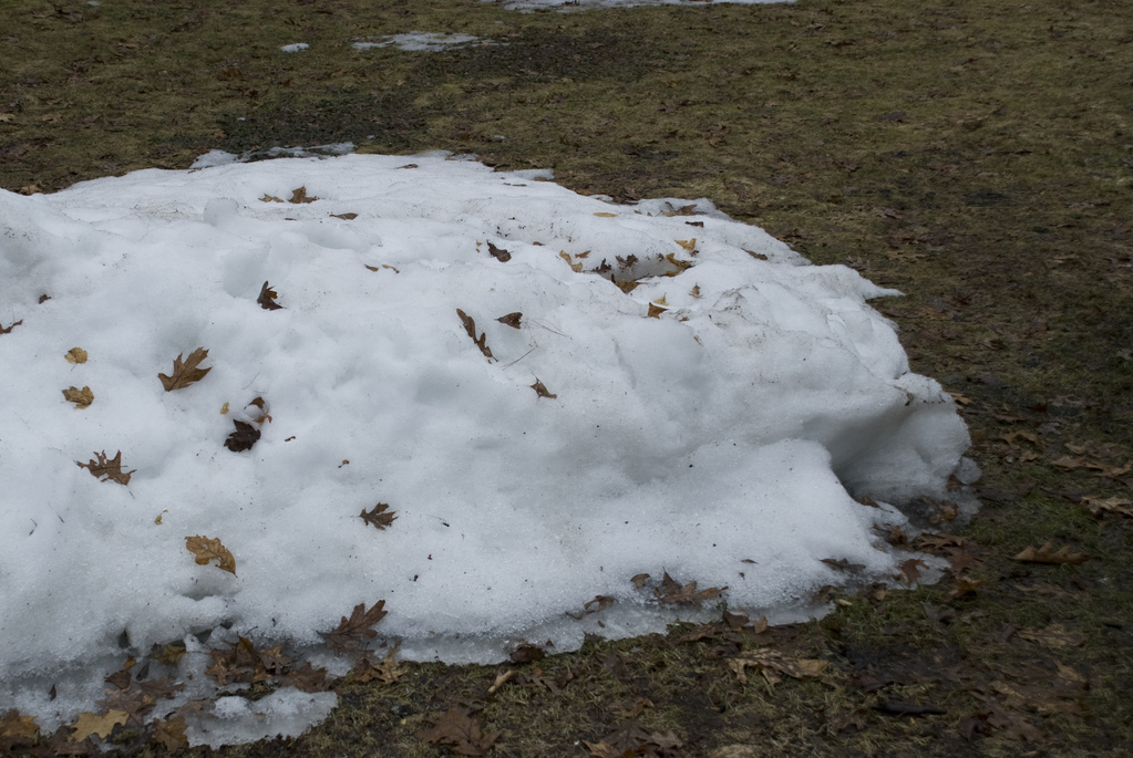 Snow, snow, go away...
