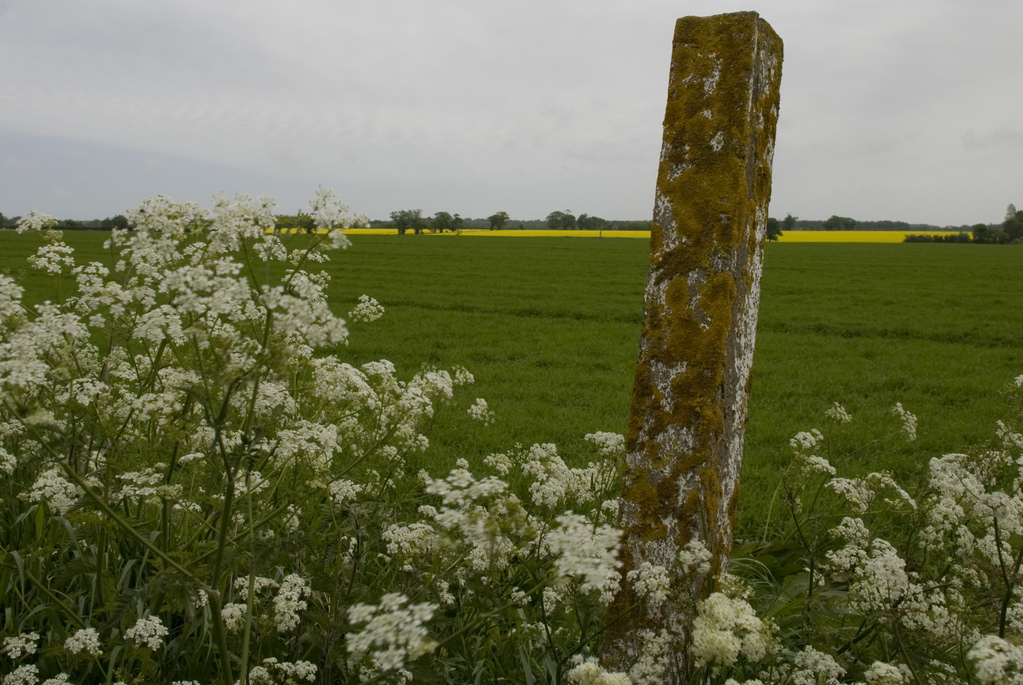 Fencepost