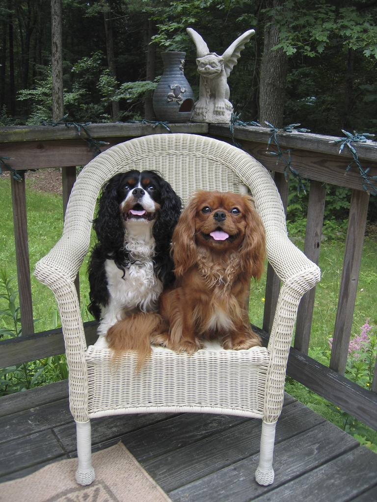 Three beasties