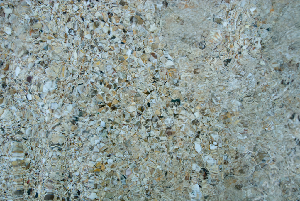 Sand and shells