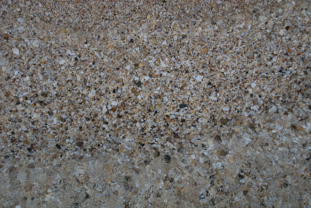 Sand and shells