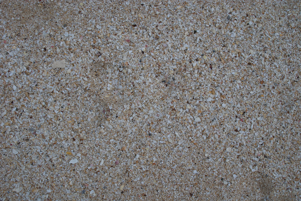 Sand and shells