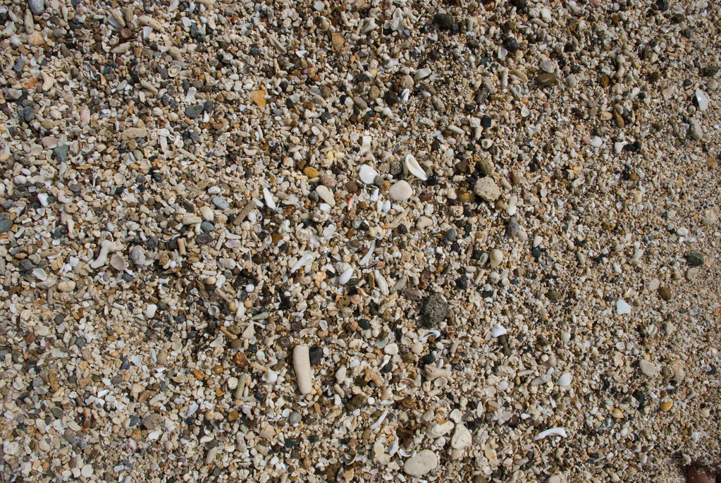 Sand and shells