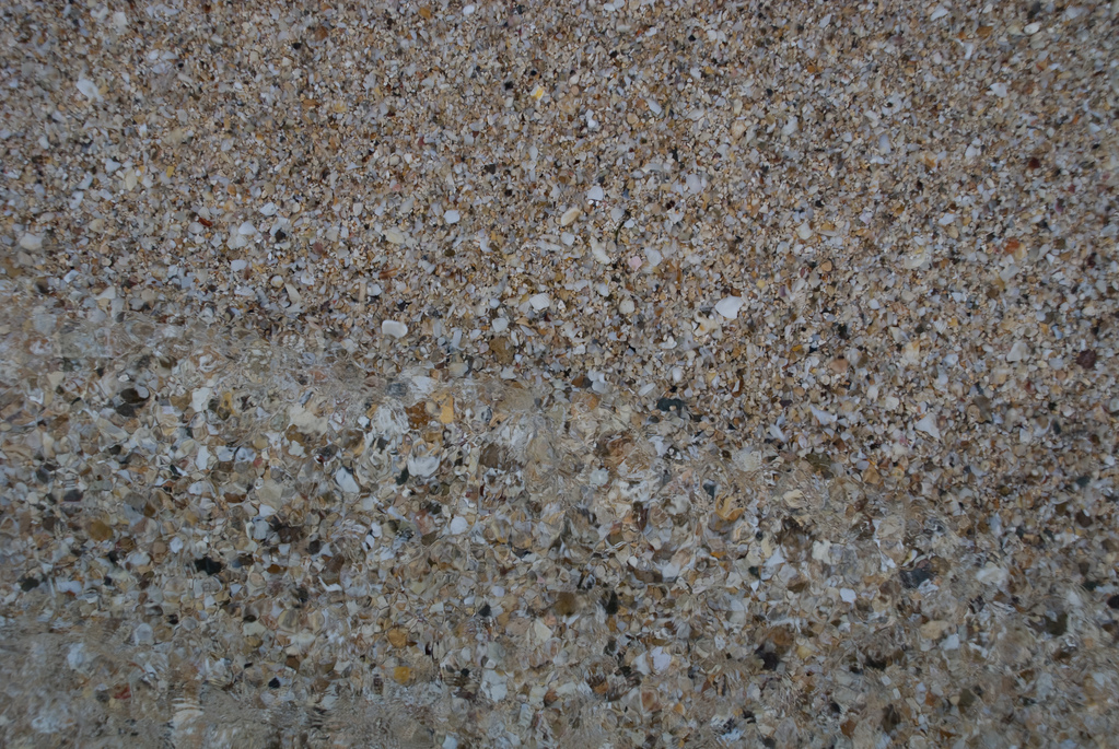 Sand and shells