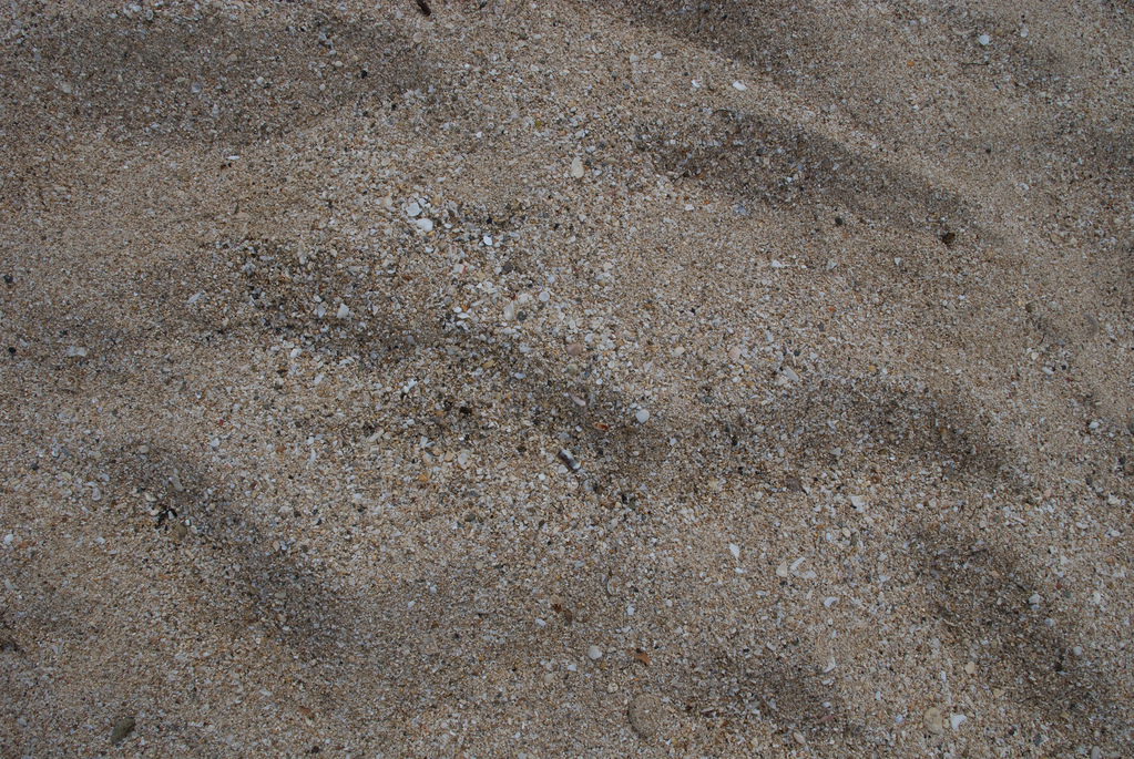 Sand and shells