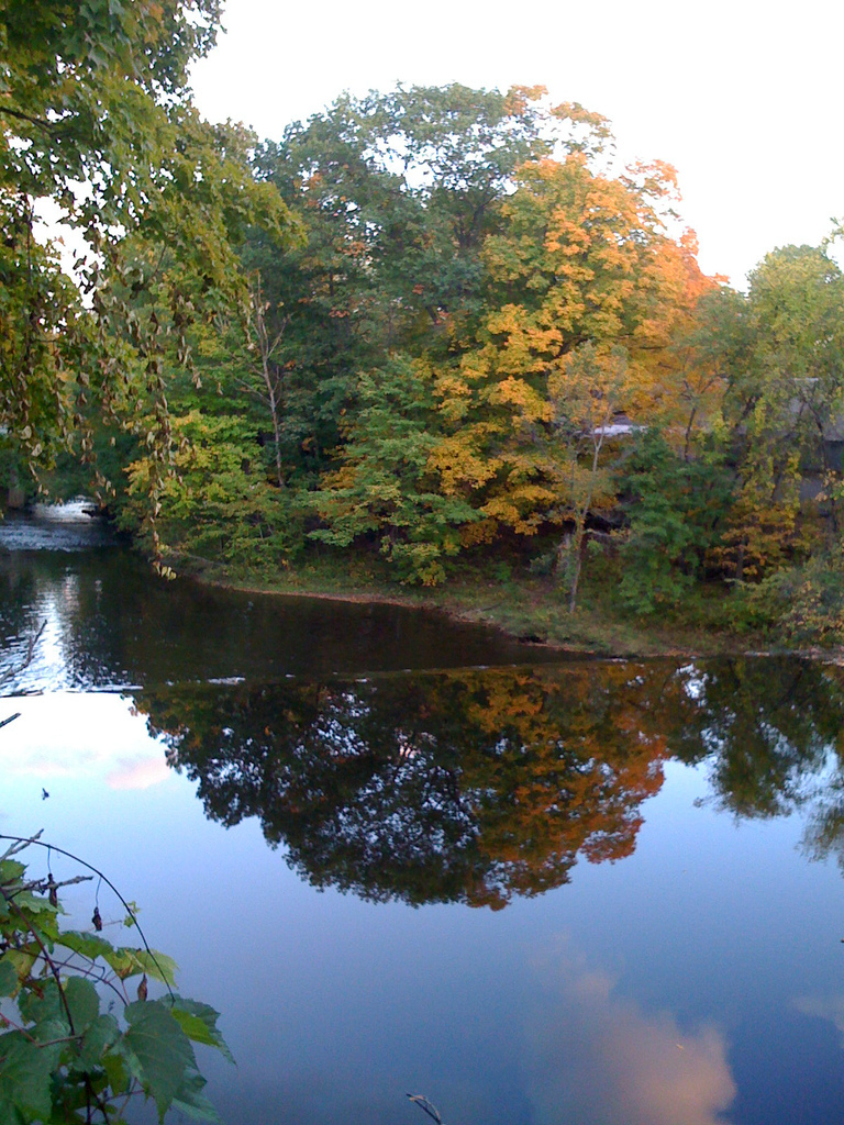 Autumn reflections