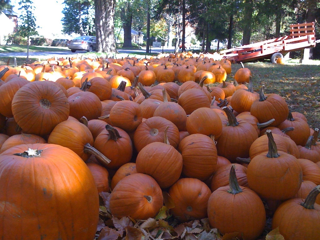 Hadley, Oct 11, 2008