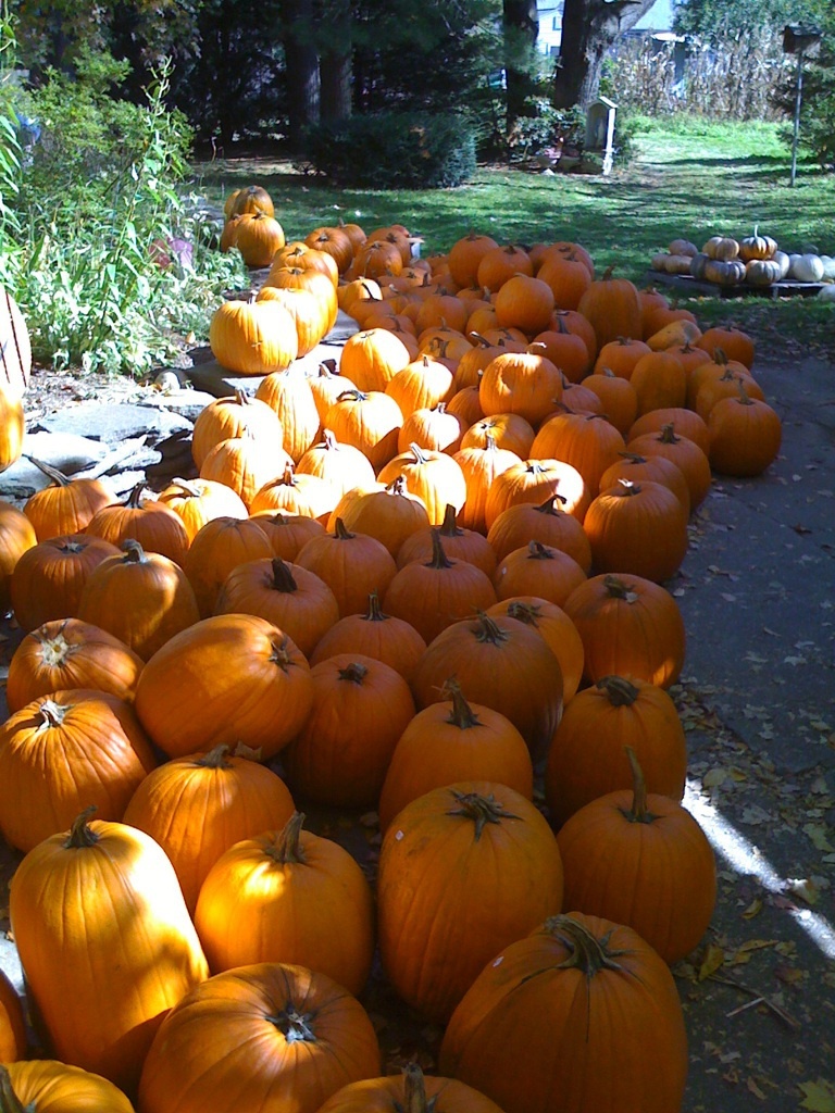 Hadley, Oct 11, 2008
