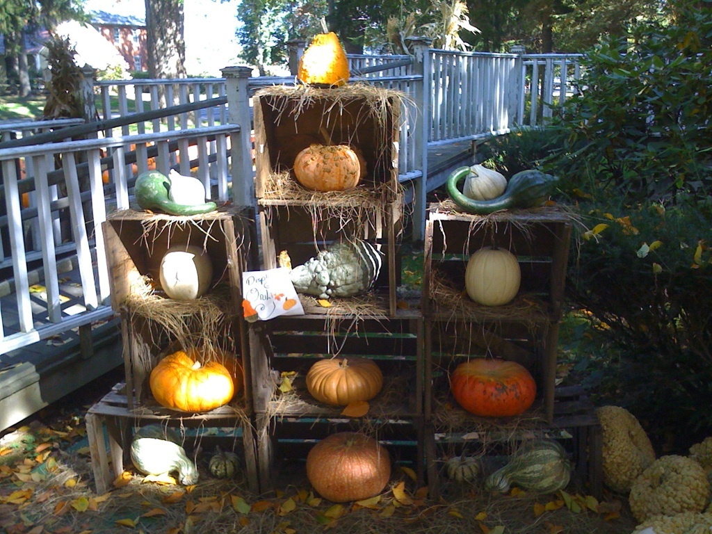 Hadley, Oct 11, 2008