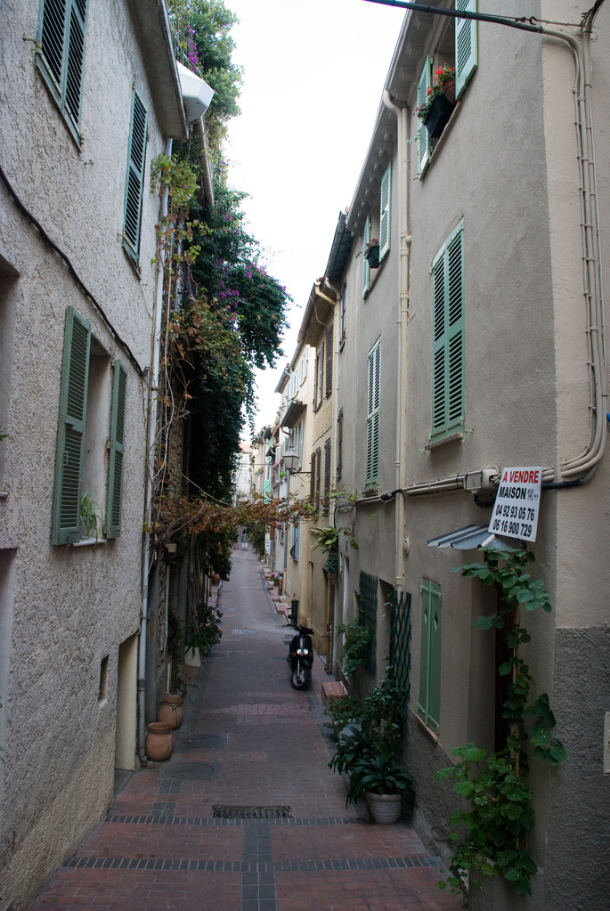 Flower boxes