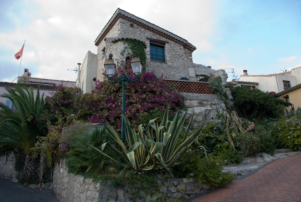Antibes garden