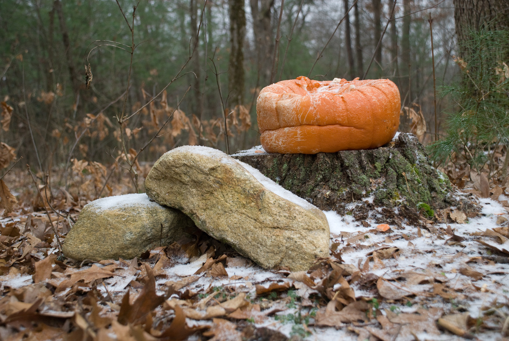 Frowning pumpkin