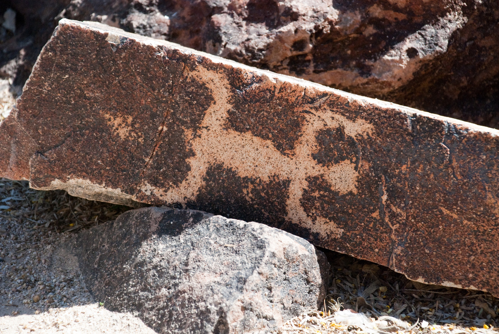 Taliesin West
