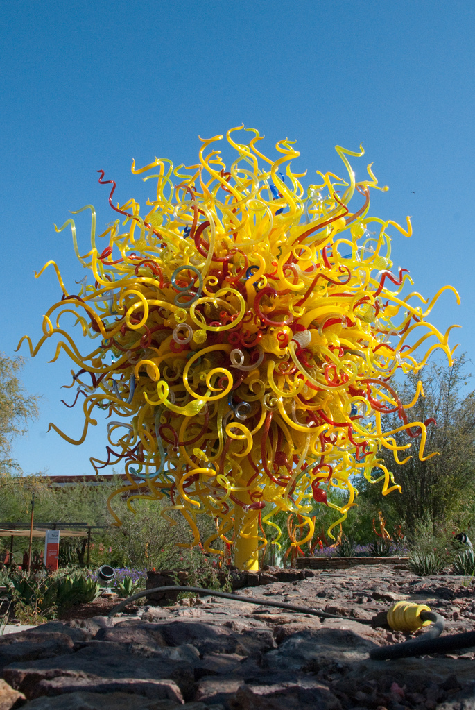 Desert Botanical Garden Desert Botanical Garden