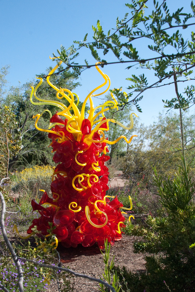 Desert Botanical Garden Desert Botanical Garden