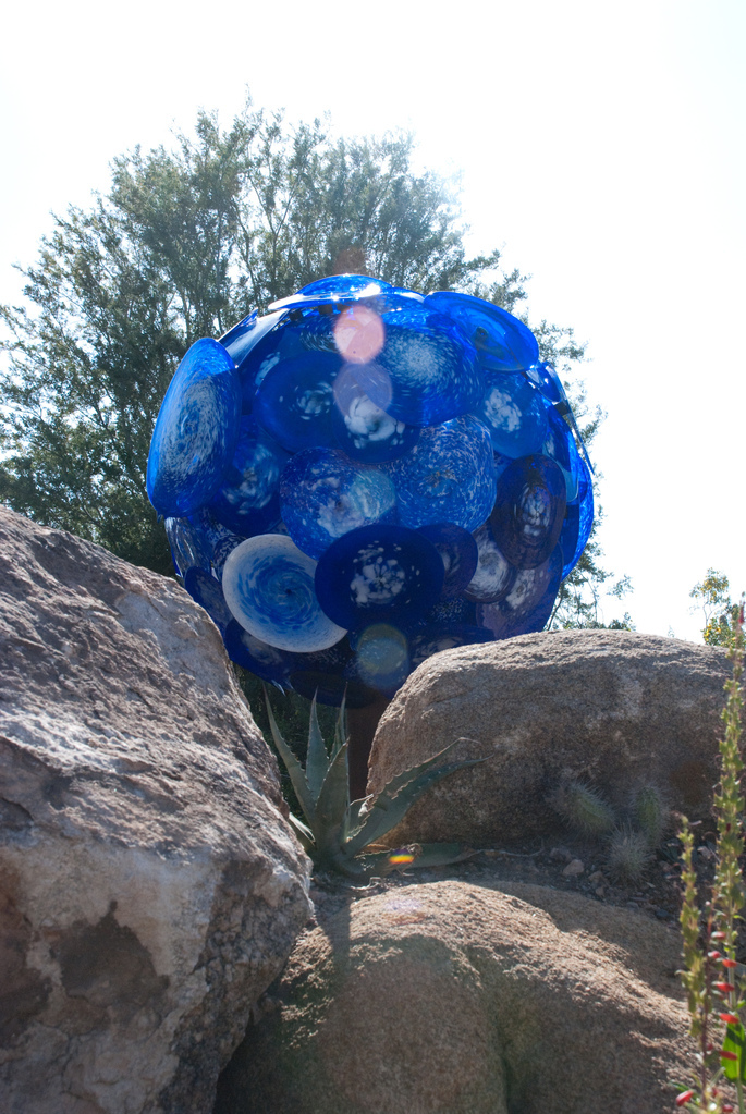 Desert Botanical Garden Desert Botanical Garden
