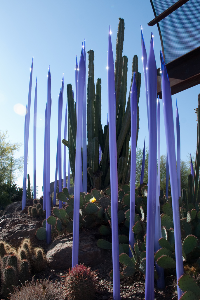 Desert Botanical Garden Desert Botanical Garden