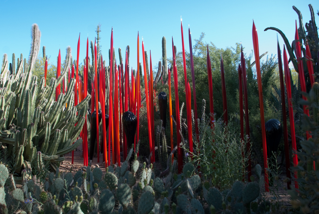 Desert Botanical Garden Desert Botanical Garden