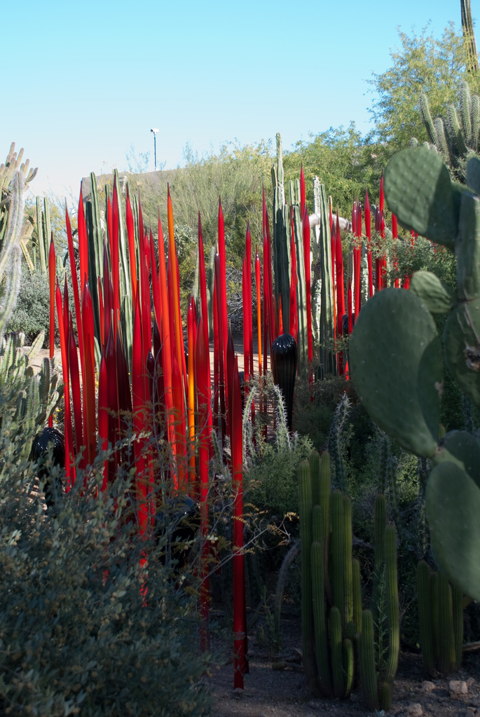 Desert Botanical Garden Desert Botanical Garden