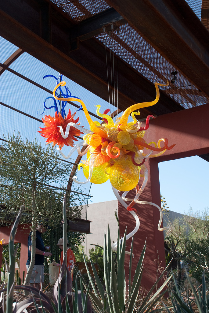 Desert Botanical Garden Desert Botanical Garden