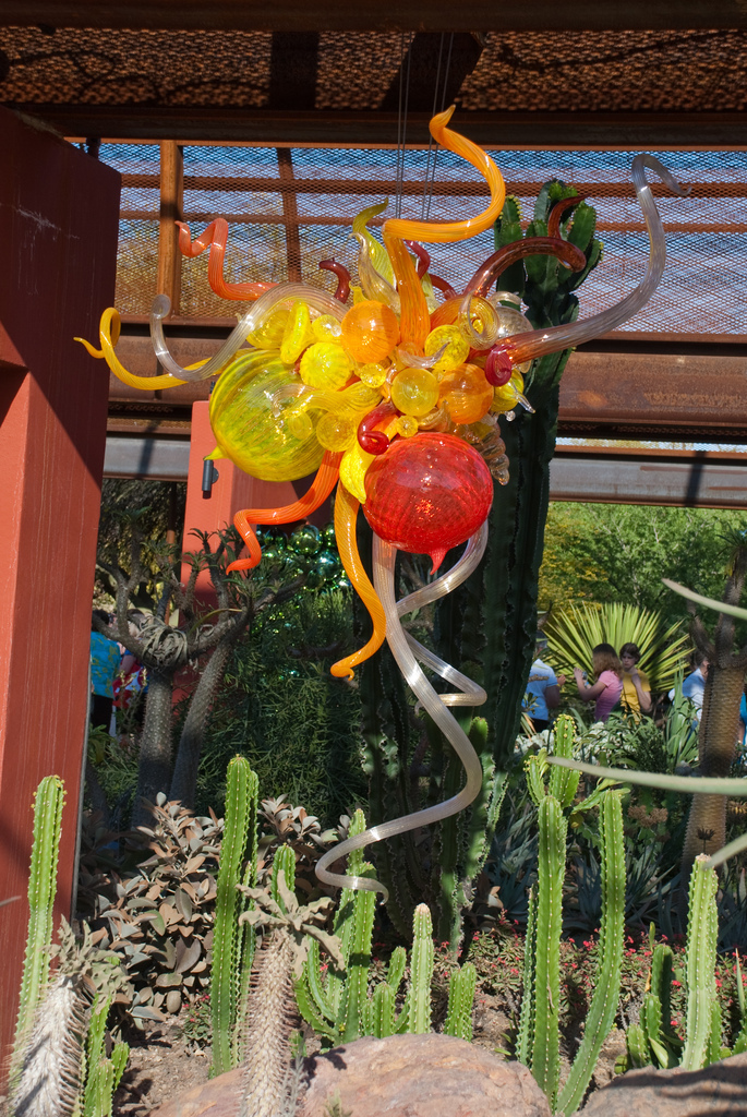 Desert Botanical Garden Desert Botanical Garden